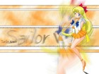 Sailor Moon Wallpapers #7